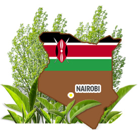 EP Kenya Map