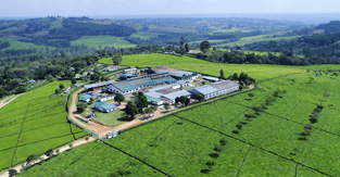 factory nandi hill